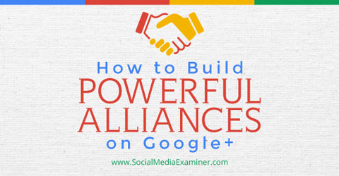 building alliances on google+