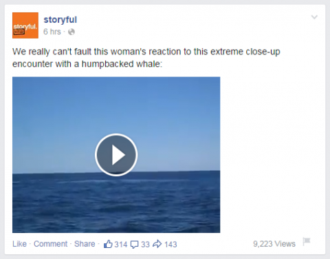 Videos directly uploaded to Facebook can be played within the news feed. 