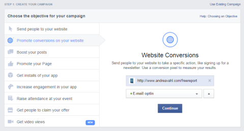 facebook website conversion options