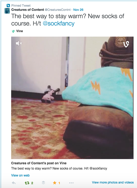 vine video on twitter