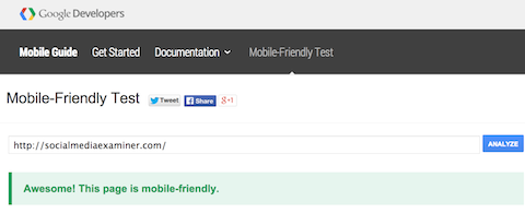 successful mobile friendly test