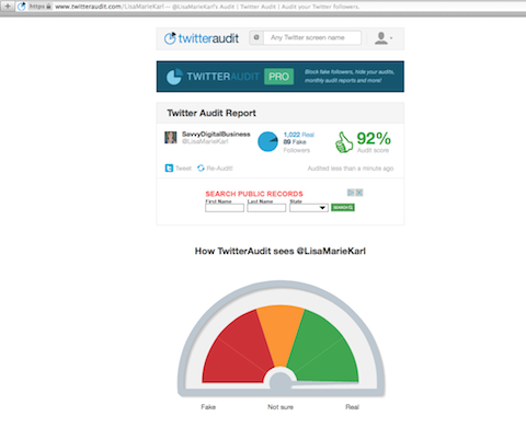 twitteraudit report - fake instagram followers check app