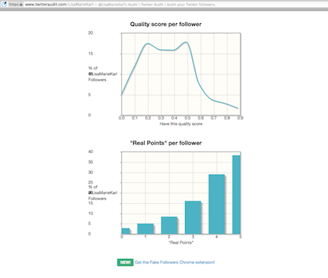 twitteraudit report