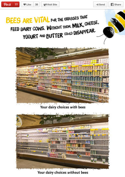 whole foods market comparison educational pin