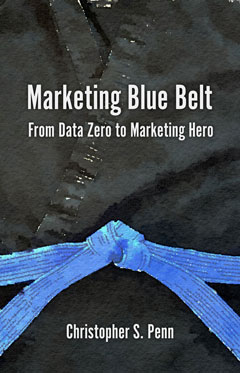 marketing blue belt book cover