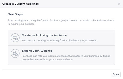 choose a custom audience