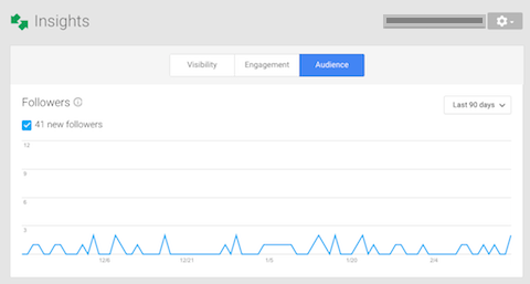 audience insights