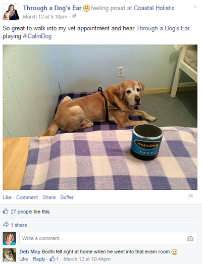 through a dog's ear facebook post