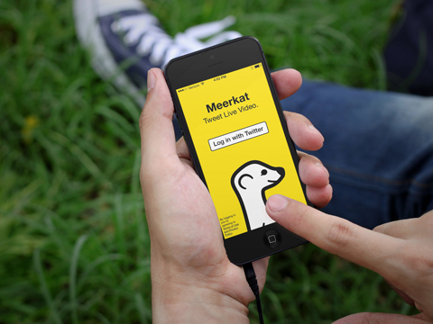 meerkat mobile login screen placeit image