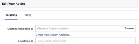 custom audience field in targeting