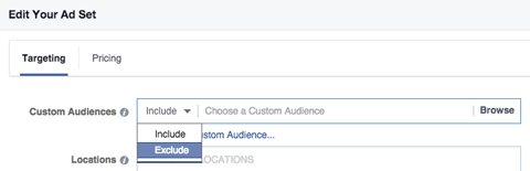 custom audience include exclude menu in targeting