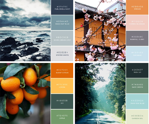 color palette image