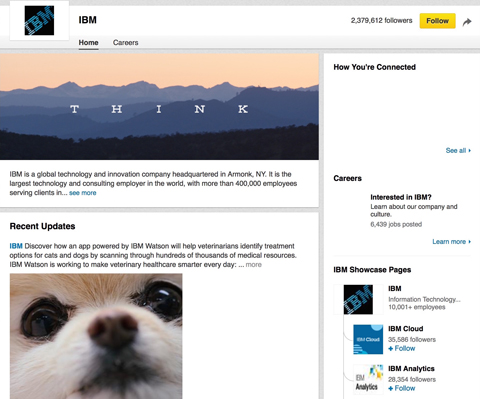 ibm linkedin showcase page