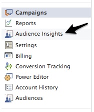 audience insights in campaign menu