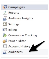audiences in ad campaign menu