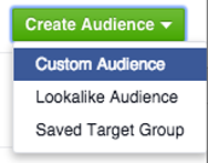 custom audience in create audience menu