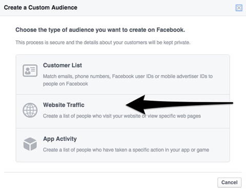 select website custom audience