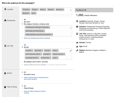 linkedin targeting options