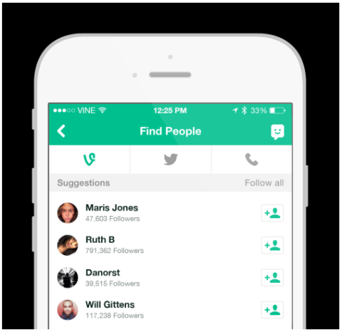 vine follower suggestions