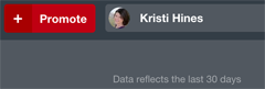 pinterest promote button in ads interface