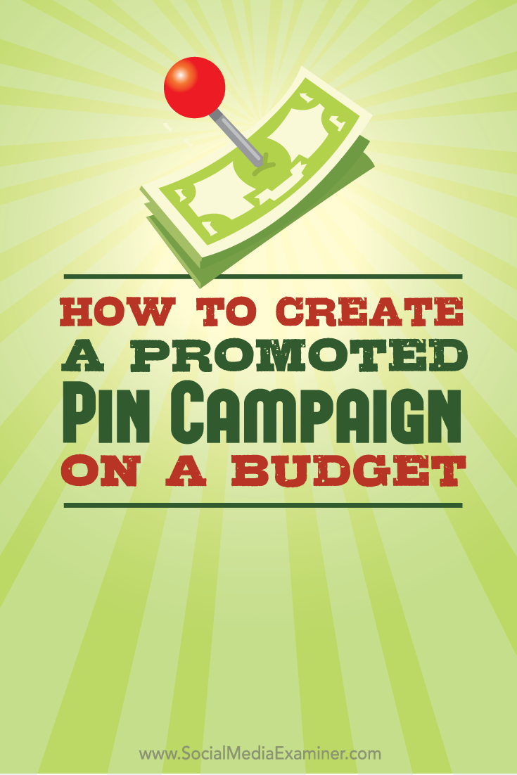 promoted pin campaign on a budget