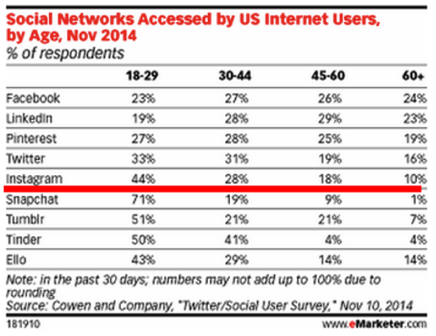 social network accessed by US users by age emarketer 2014