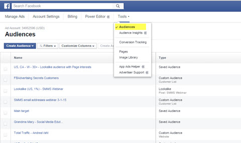 facebook ads manager audience feature