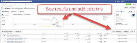 facebook ads manager graph results