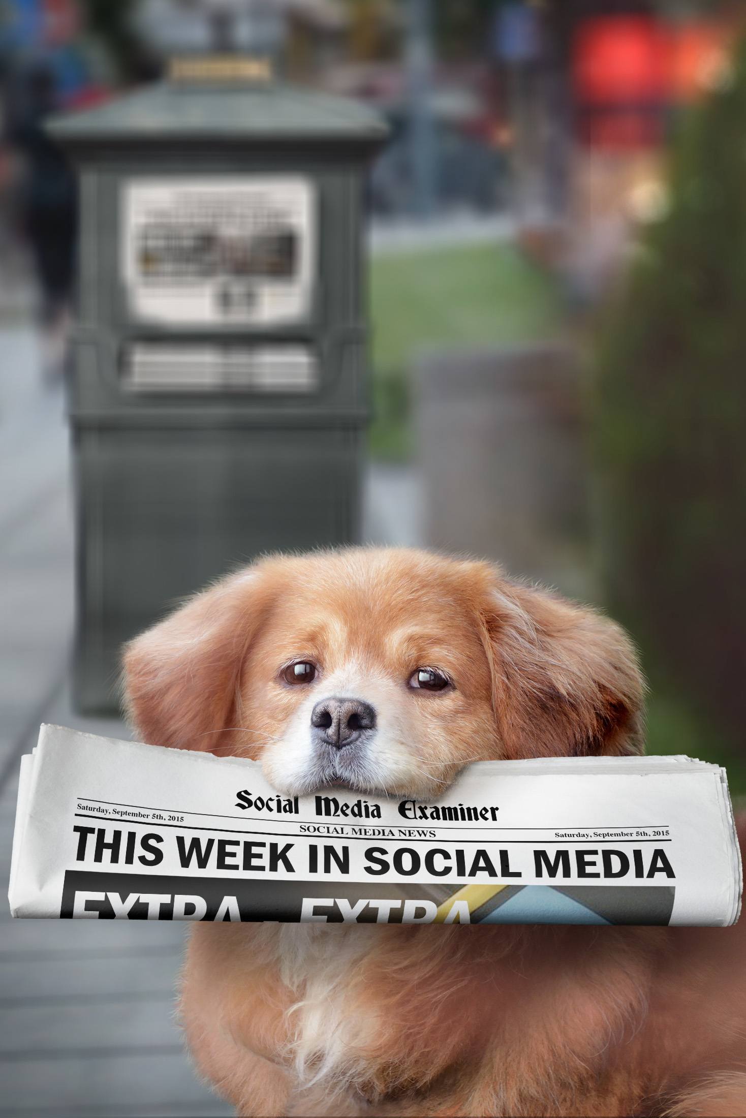 social media examiner weekly news september 5 2015