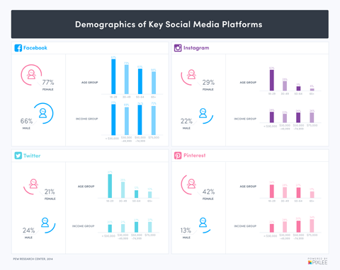 social media demographics