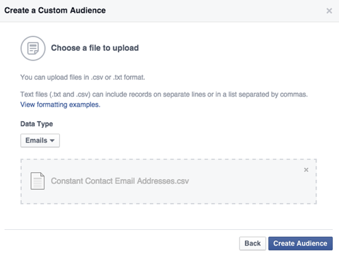 power editor custom audiences email list upload