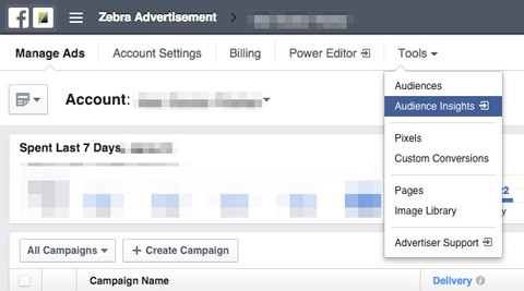 audience insights in ads account