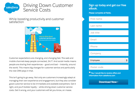 sales force lead capture form