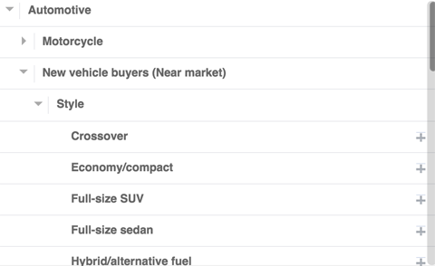 auto audience stats