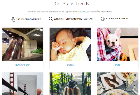 ugc brand trends