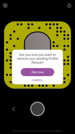 remove your snapchat selfie