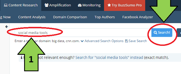 buzzsumo topic search example