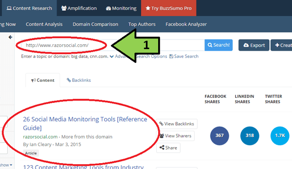 buzzsumo content search example