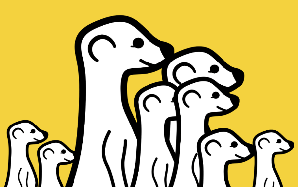 meerkat live video