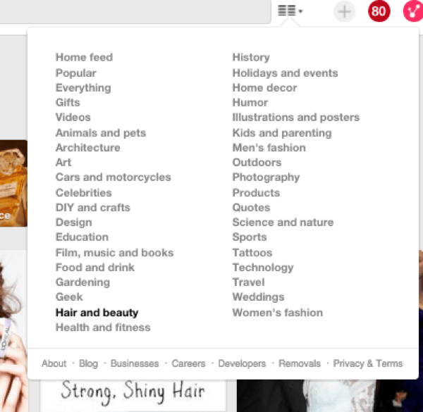 pinerest categories