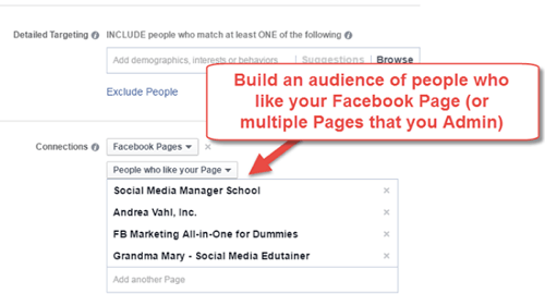 build saved audience from facebook page connections