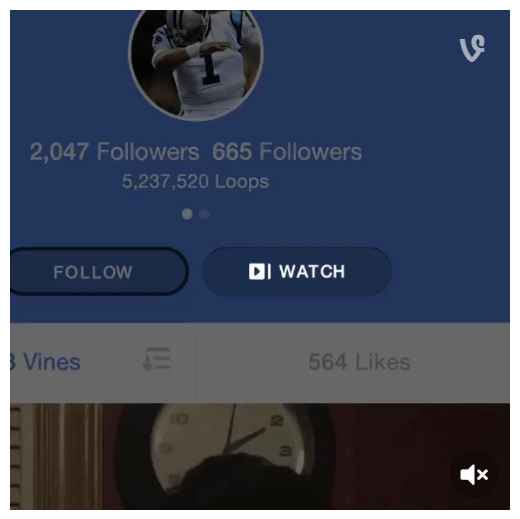 vine watch button