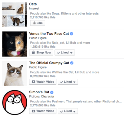 facebook verified page in search