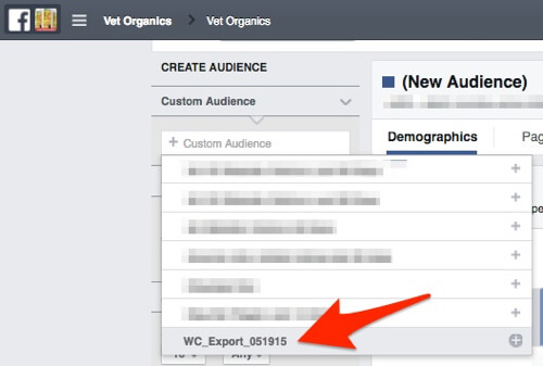 choose facebook custom audience