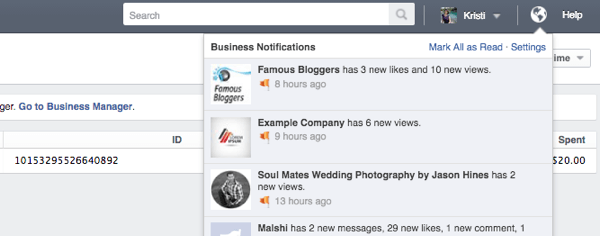 facebook ads manager notifications