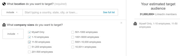 linkedin audience filtered by smaller company size