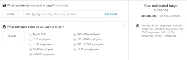 linkedin audience with large companies excluded