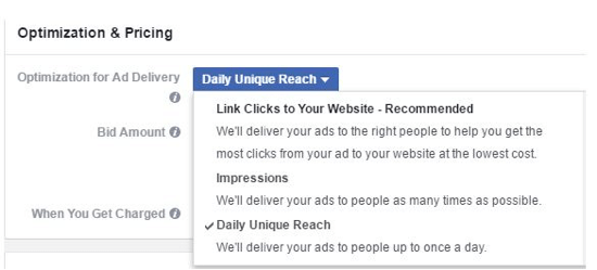 facebook ad optimization for ad delivery options menu