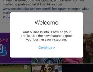 instagram business profiles connect to facebook page