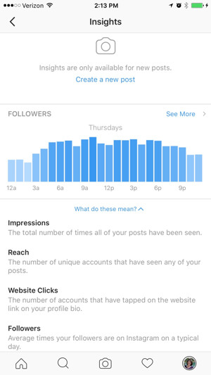 instagram business profile insights